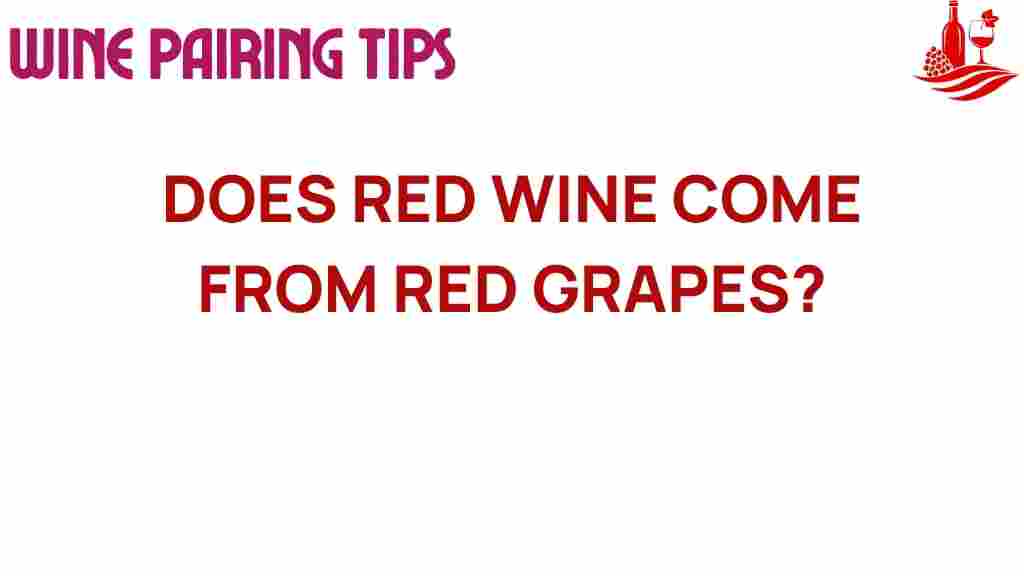 red-wine-come-from-red-grapes