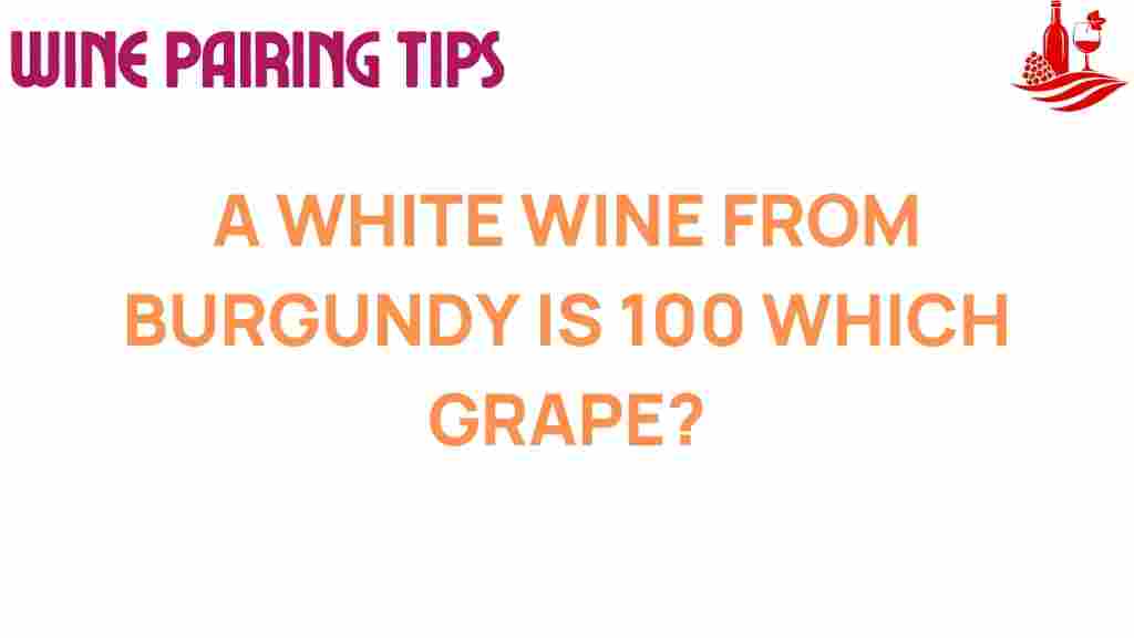 burgundy-white-wine-grape
