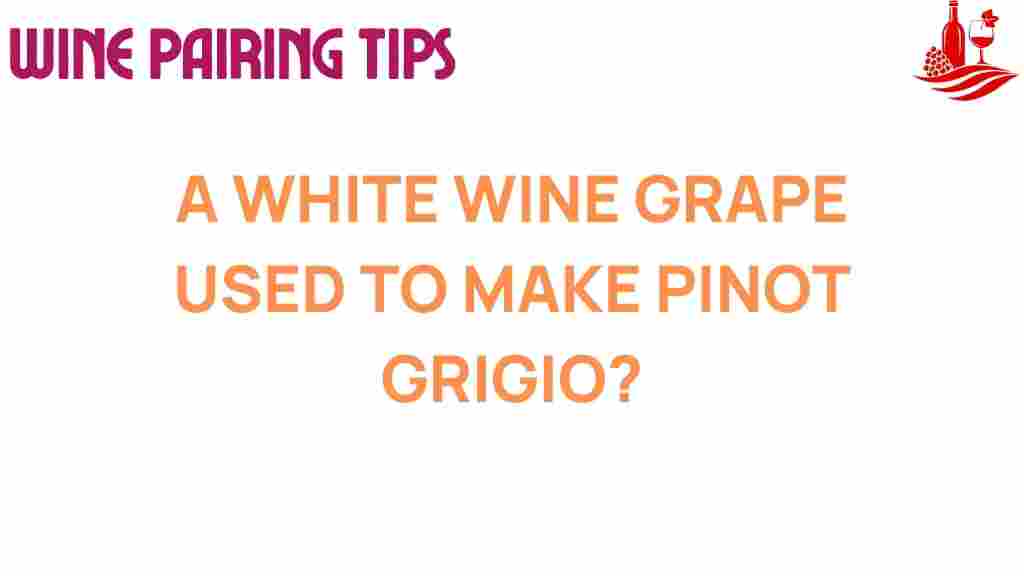 pinot-grigio-secrets