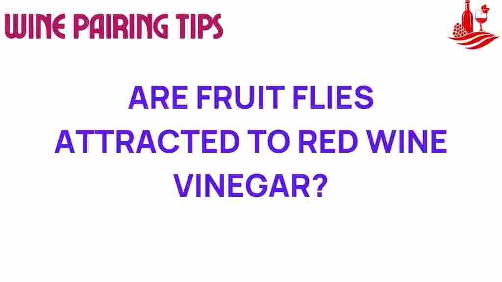 fruit-flies-red-wine-vinegar
