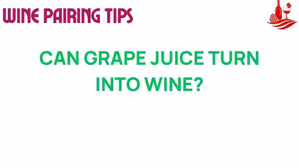 grape-juice-turn-into-wine