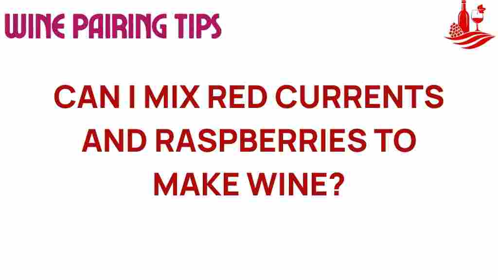 red-currants-raspberries-wine