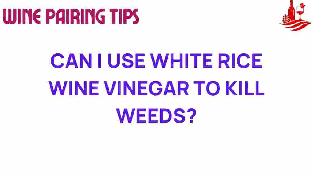 white-rice-wine-vinegar-kill-weeds