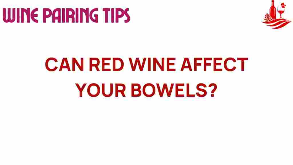 can-red-wine-affect-your-gut-health