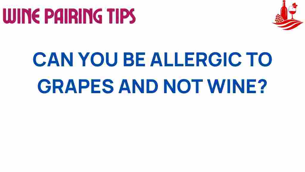 grapes-allergy-vs-wine