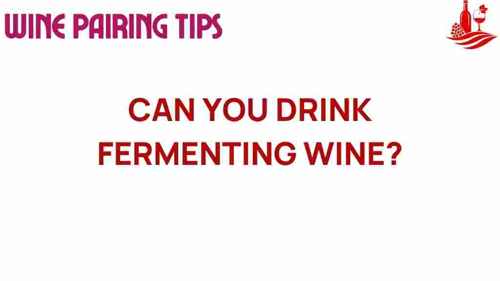fermenting-wine-drink