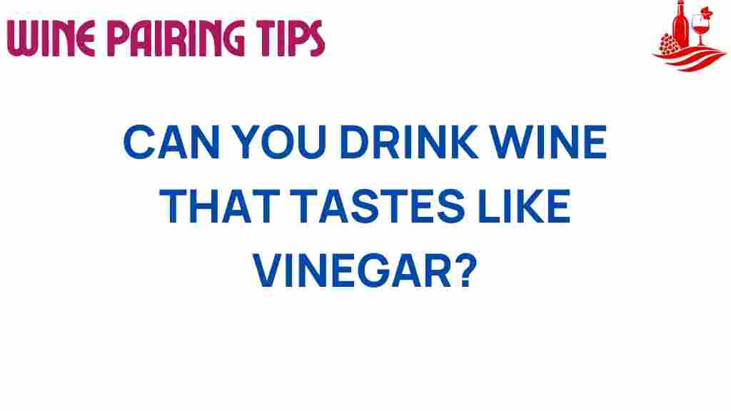 wine-vinegar-tasting-exploration