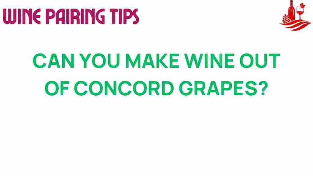 can-you-make-wine-out-of-concord-grapes
