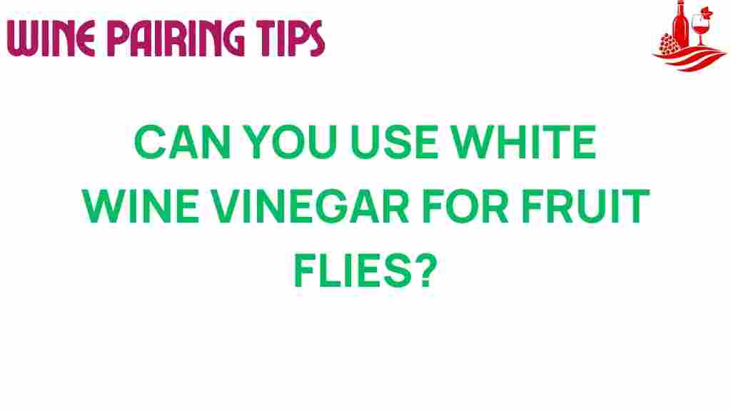 white-wine-vinegar-fruit-flies