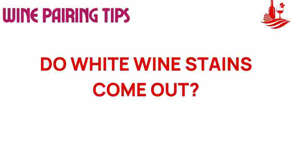 white-wine-stains-removal