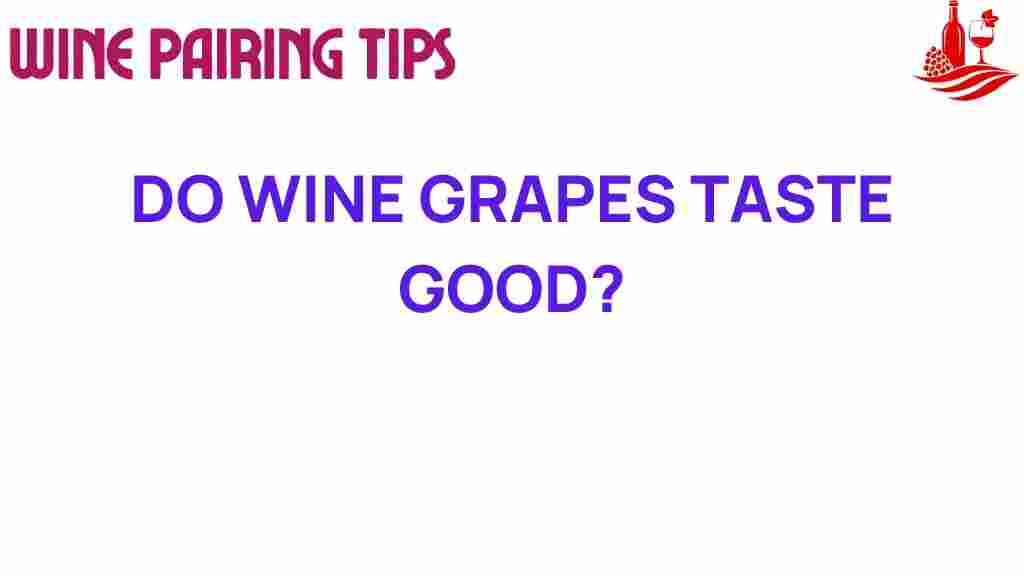 do-wine-grapes-taste-good