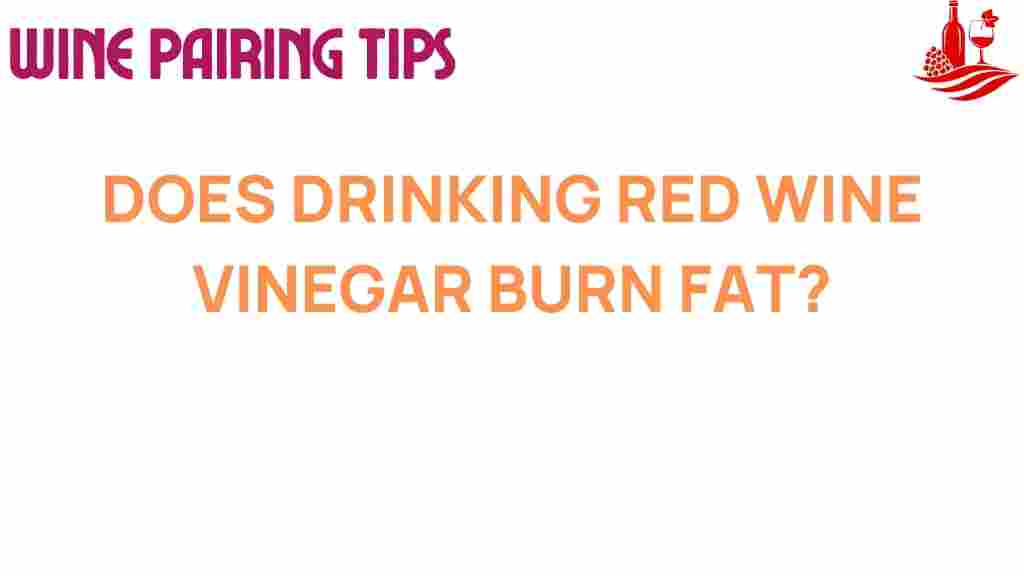 red-wine-vinegar-fat-loss