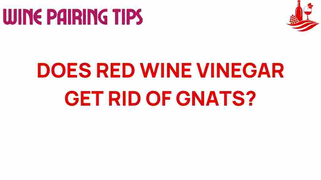 red-wine-vinegar-gnats