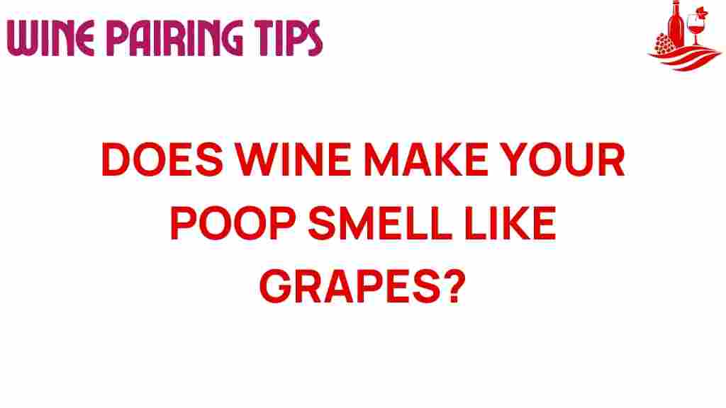 wine-digestive-health