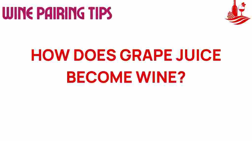 grape-juice-wine-transformation