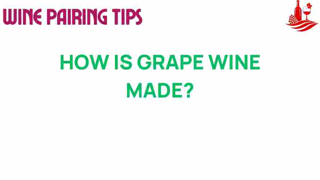 grape-wine-making-process