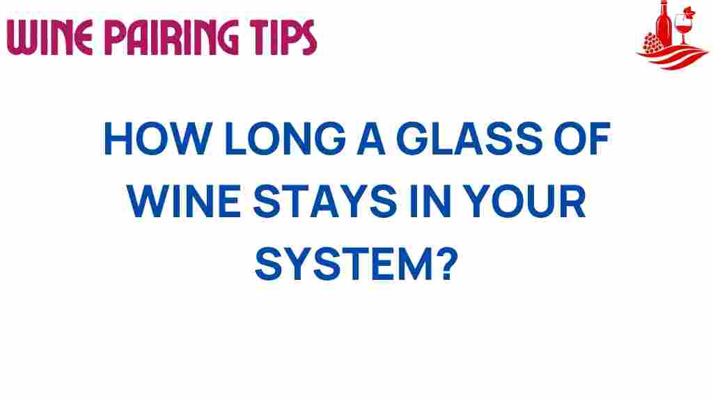 how-long-wine-stays-in-your-system