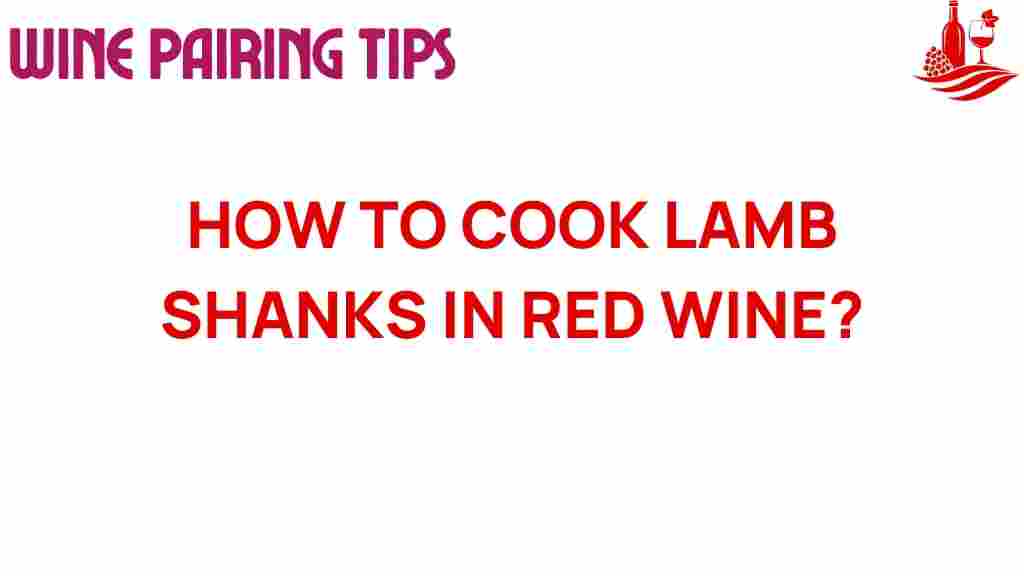 cooking-lamb-shanks-red-wine