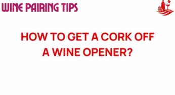 Uncorking Secrets: Mastering the Art of Wine Openers