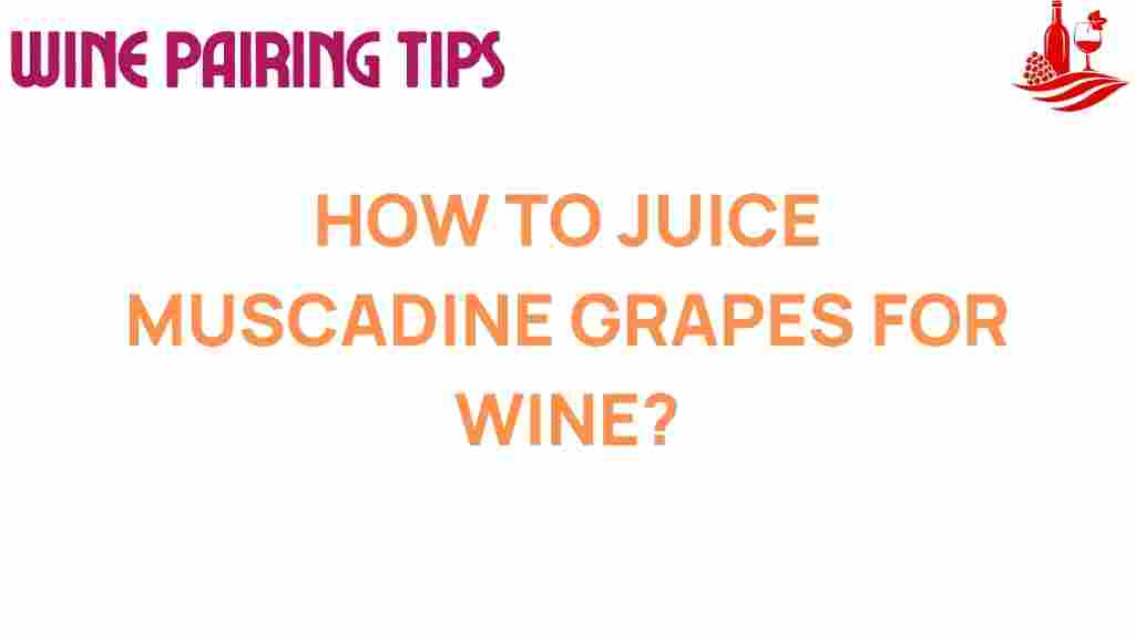 how-to-juice-muscadine-grapes