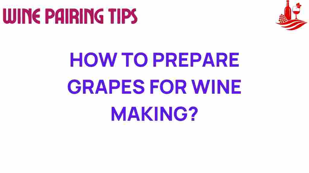 prepare-grapes-for-wine-making