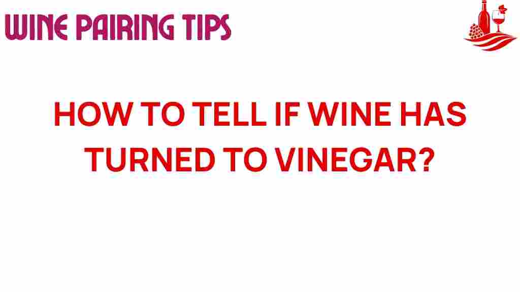 uncorking-the-mystery-wine-vinegar