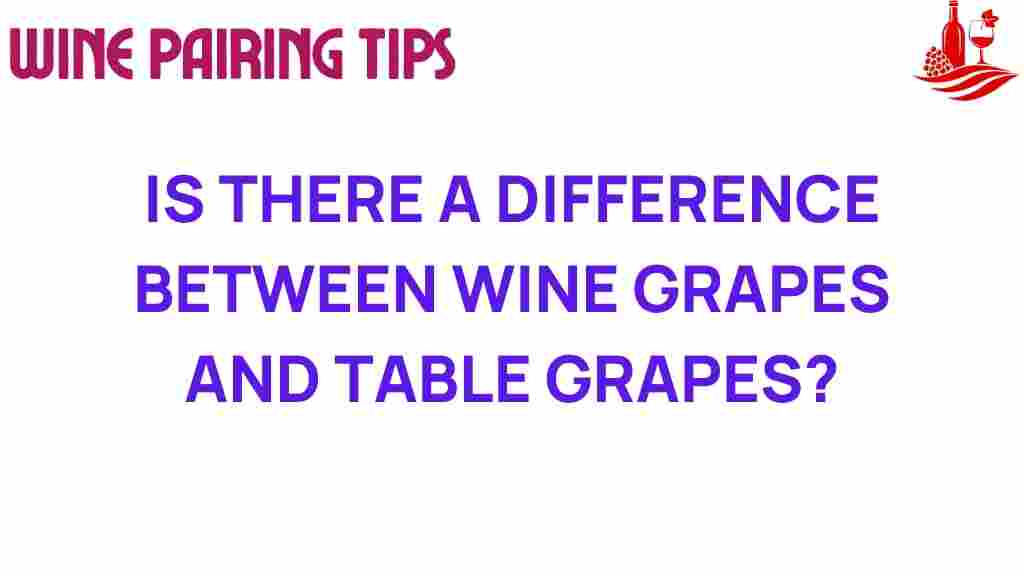 wine-grapes-vs-table-grapes