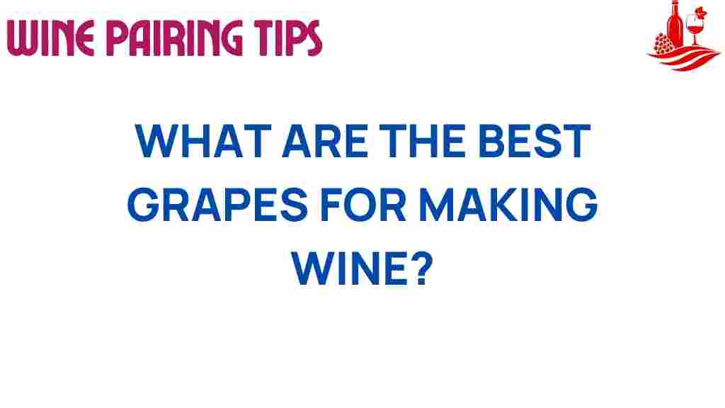 best-grapes-for-making-wine