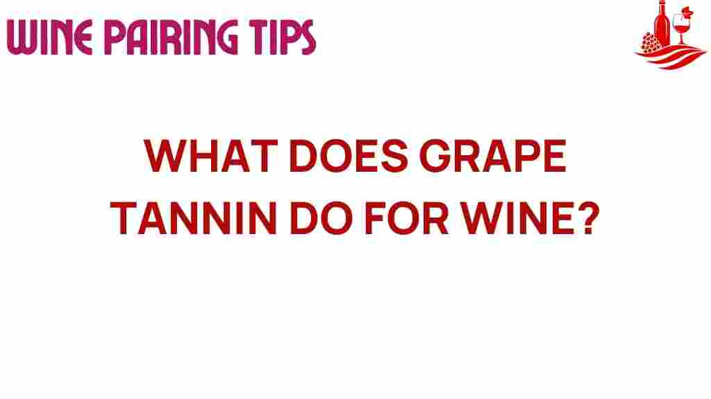 grape-tannin-wine-secrets