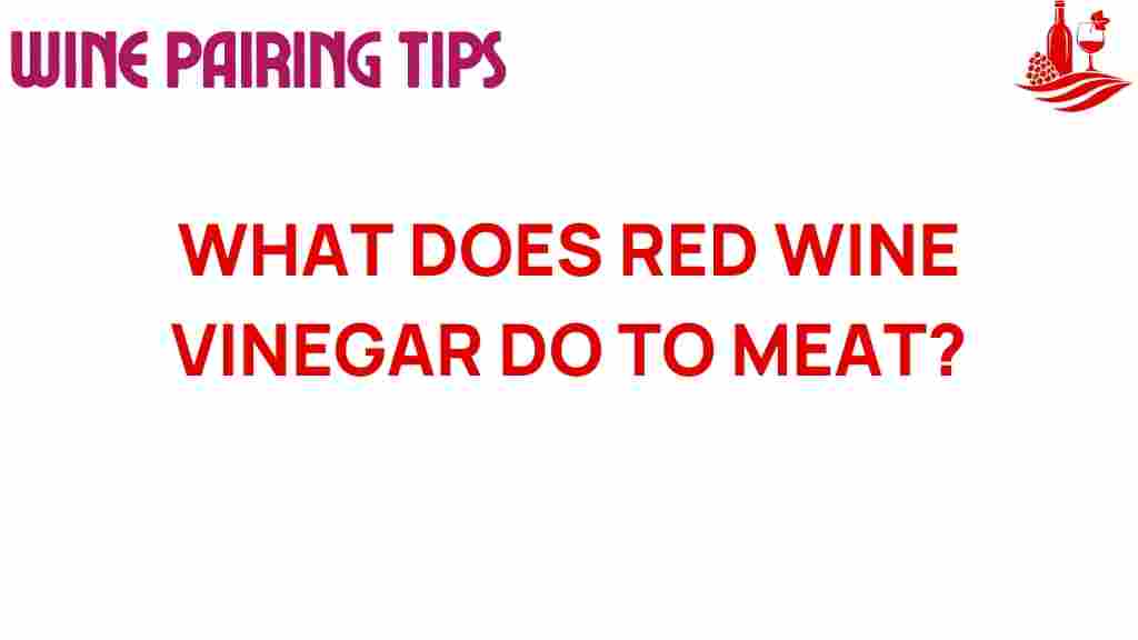 red-wine-vinegar-meat