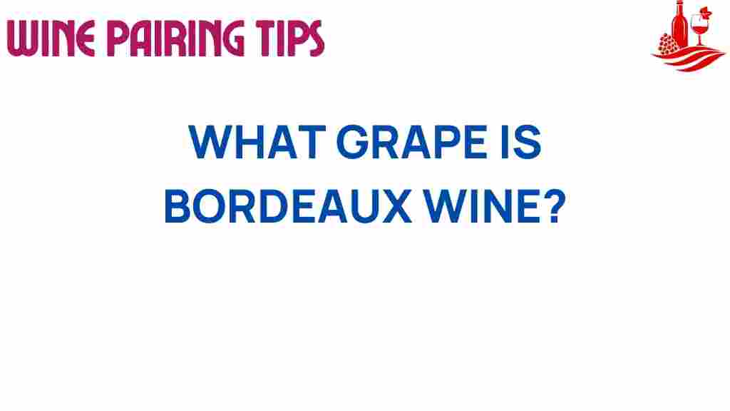 bordeaux-wine-grape-varieties