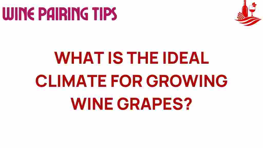 ideal-climate-growing-wine-grapes