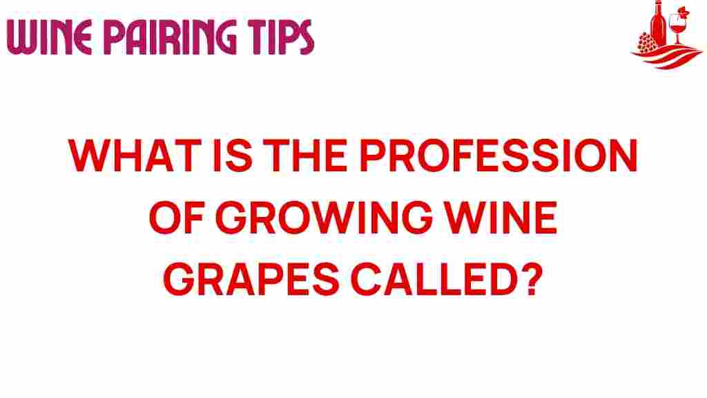 viticulture-wine-grapes