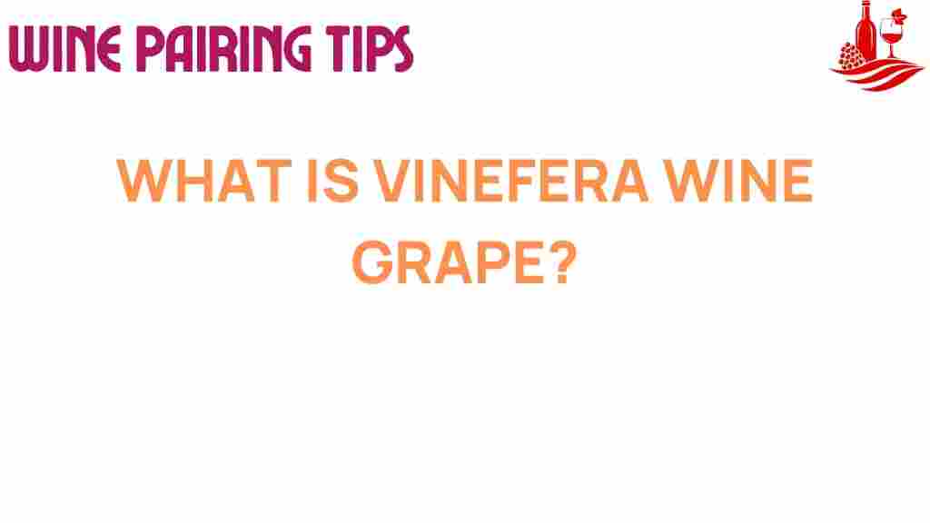 vitis-vinifera-wine-grape
