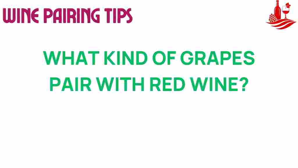 red-wine-grapes-pairing