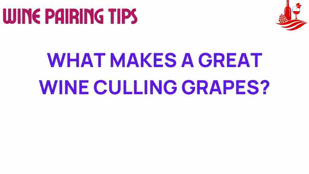 culling-grapes-great-wine