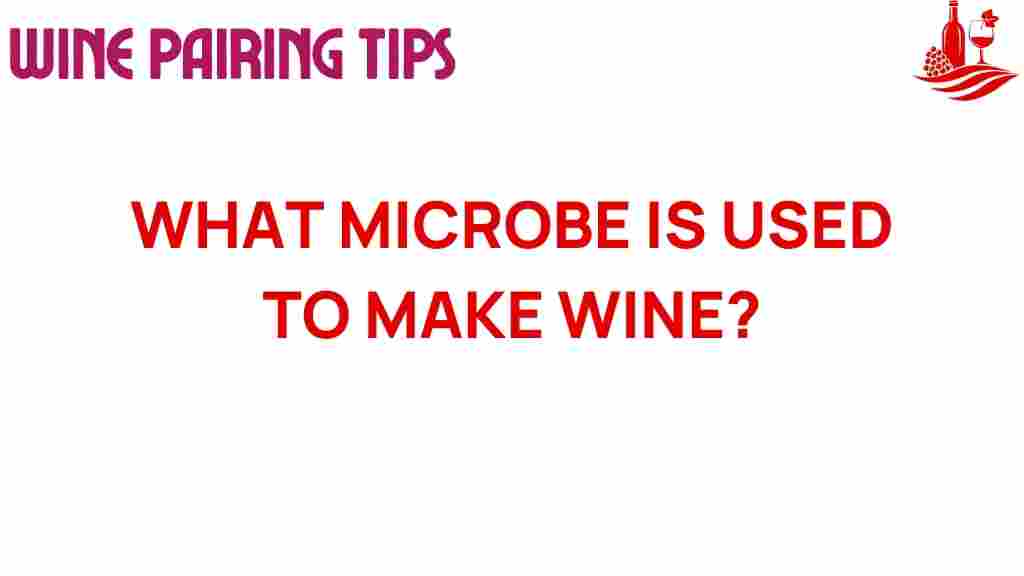 microbe-in-wine