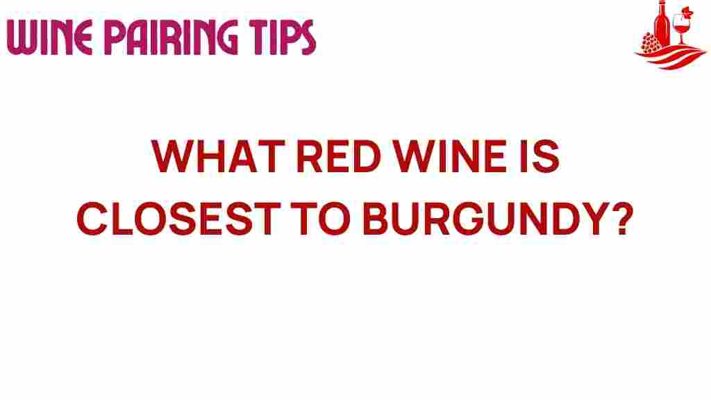 discover-red-wine-closest-to-burgundy