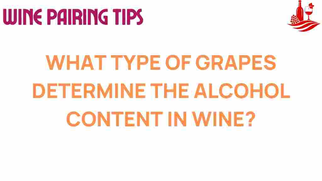 grapes-alcohol-content-wine