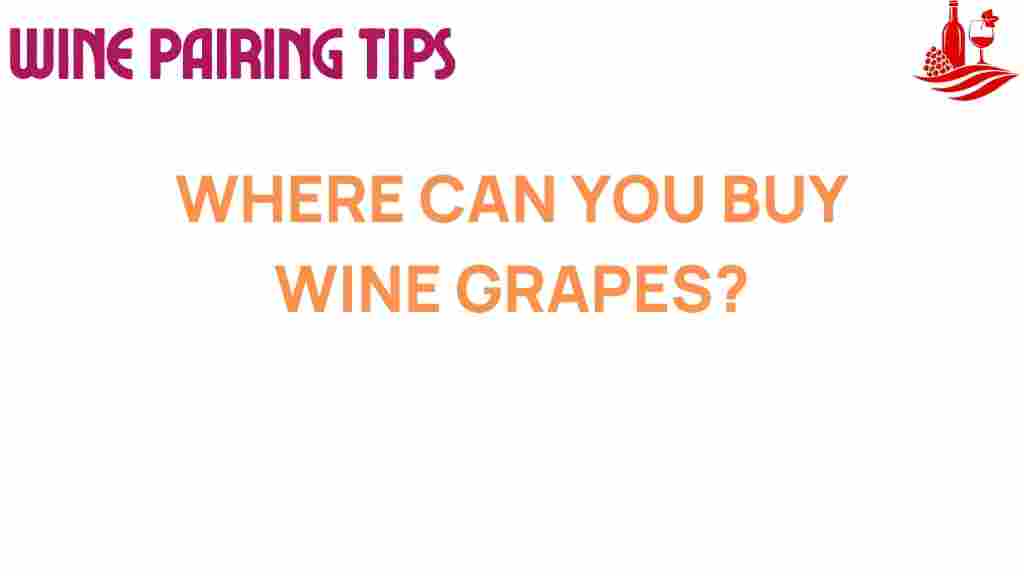 buy-wine-grapes-sources