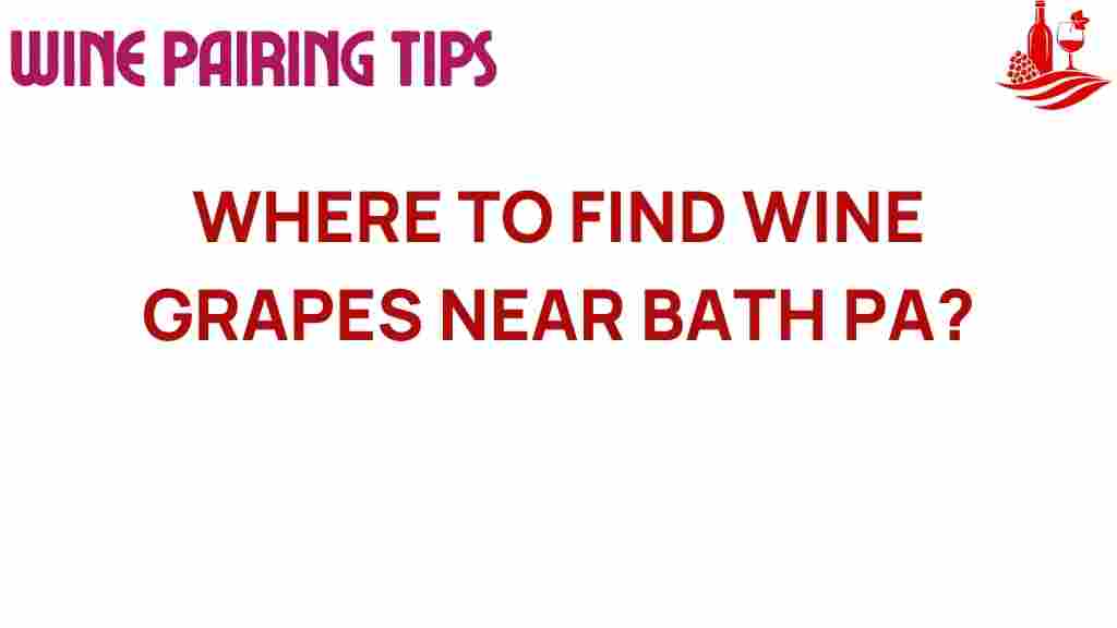 wine-grapes-near-bath-pa