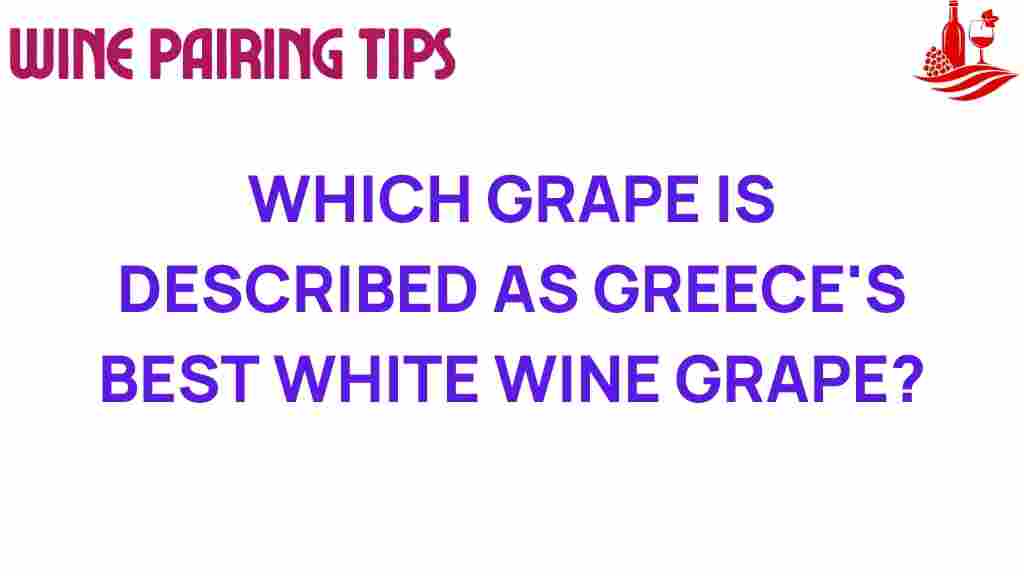 greece-best-white-wine-grape