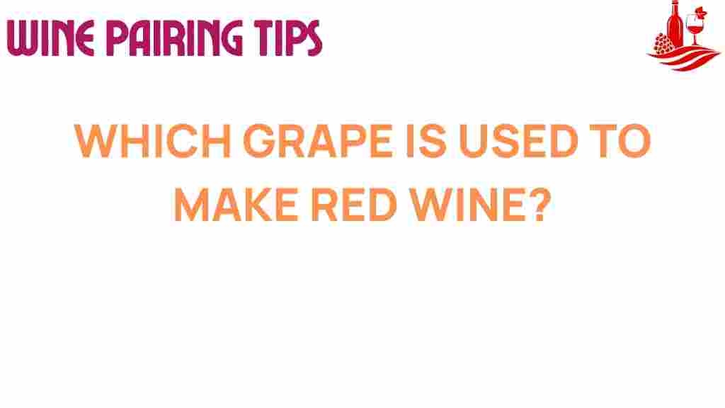 red-wine-grape-secrets