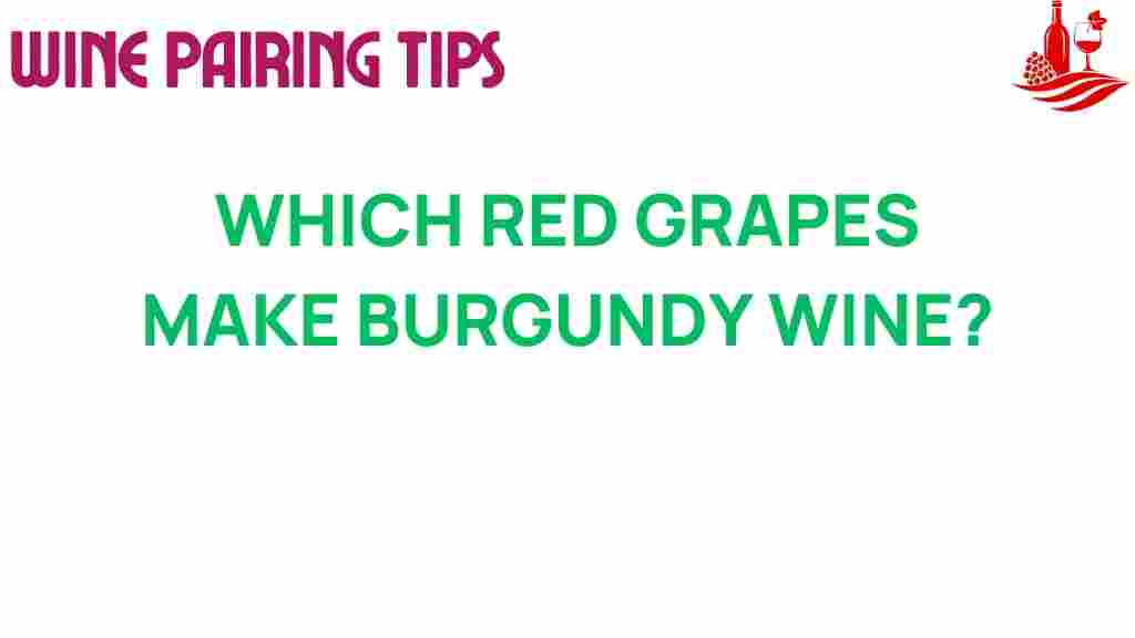 burgundy-red-grapes