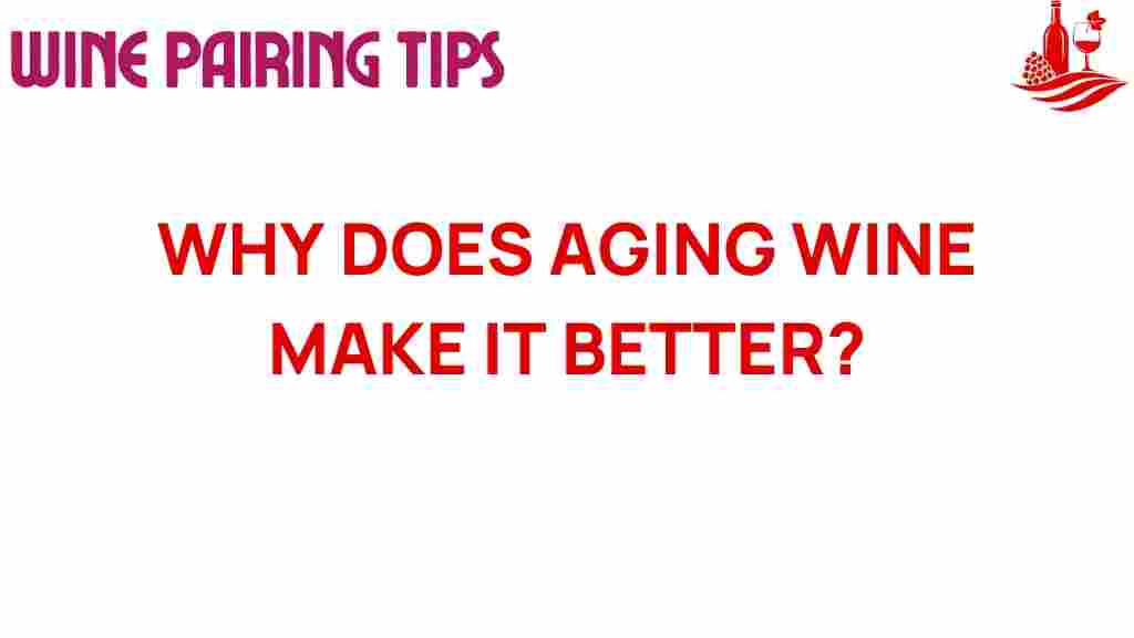 aging-wine-secret-enhances-flavor