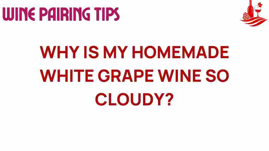 homemade-wine-cloudiness